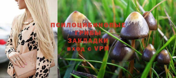 СК Приозерск